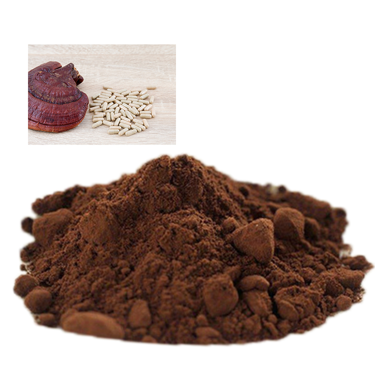 Soluble in Hot Water USDA Certified Organic Red Reishi Mushroom Extract Powder – A Top Choice for Holistic Practitioners
